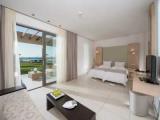 1 Bedroom Executive Suite
