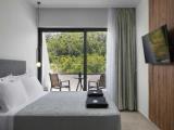 Deluxe Double room with garden view