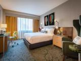 Double Guestroom with city view