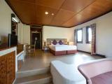 Standard room with balcony and with view