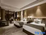 Superior Twin room with city view