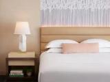 Mobility Accessible Double Suite