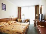 Standard Twin room with balcony