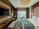 Deluxe room with land view
