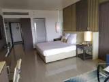 Deluxe room with garden view