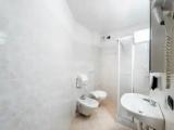 1 Bedroom Single Attic Apartment