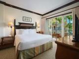 1 Bedroom Apartment with balcony and with garden view