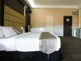 Superior Family Suite