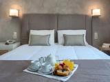 Standard Double room with balcony and with garden view