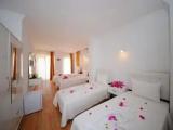 Standard Double room with garden view