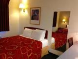 Quadruple Suite