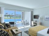Deluxe Swim Up Double room