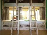Bed in 6-Bed Mixed Dormitory Room