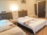 Standard Double room with mountain view