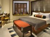 Standard Double Club room with city view