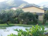 Standard Double room with garden view