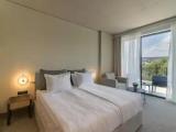 Deluxe Double room with balcony and with park view