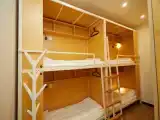 Bed in Dorm (male dorm)