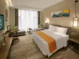 Standard Double Club room
