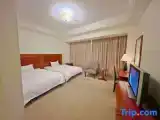 Superior Twin Family room