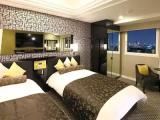 Deluxe Accessible Double room
