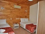 Triple Bungalow with garden view