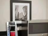 1 Bedroom Executive Single Suite