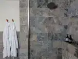 Standard Penthouse room