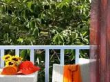 Standard Double room with garden view