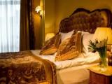 Single Suite