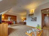 Deluxe room with partial view