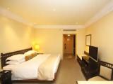 Deluxe Double room with city view