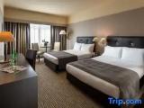 Standard Accessible Double room