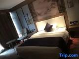 Executive Double Suite