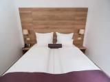 Standard Double room with mountain view