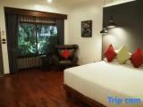 Superior Double Bungalow with garden view