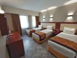 Standard Triple room with balcony