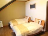 Standard Attic room