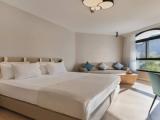 Deluxe Double room with mountain view