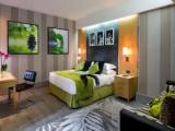 Executive Triple room