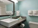 Standard Double room with balcony and with pool view