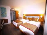 1 Bedroom Deluxe Double room with balcony