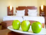 Comfort Double room with balcony and with garden view
