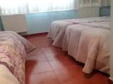 1 Bedroom Standard Single room