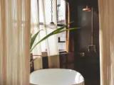 Standard Penthouse room