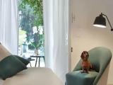 1 Bedroom Standard Double room