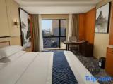 Premier Double Family Suite