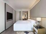 1 Bedroom Double Apartment with city view