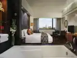 Superior Double room with park view