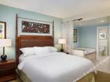1 Bedroom Accessible Double Suite with city view